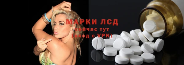 ПСИЛОЦИБИНОВЫЕ ГРИБЫ Ельня