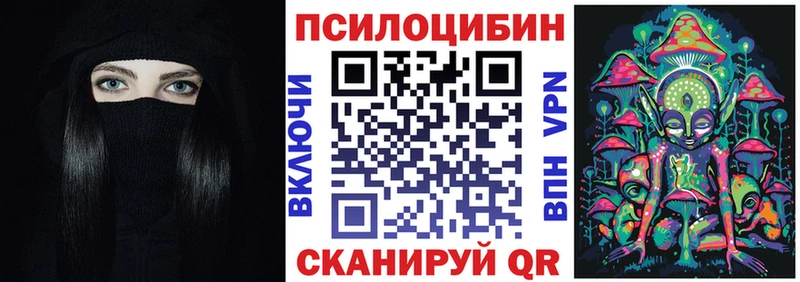 omg tor  цены   Снежногорск  Галлюциногенные грибы GOLDEN TEACHER 